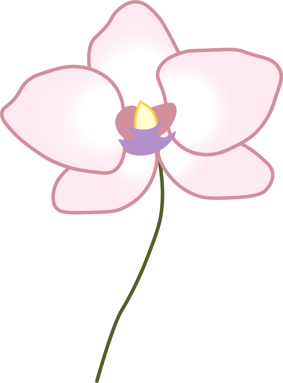 Orchid
